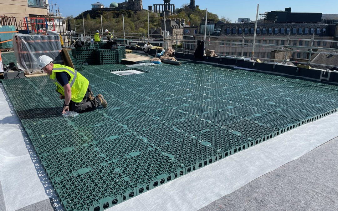 Tejados azules: Innovación en la gestión del agua urbana